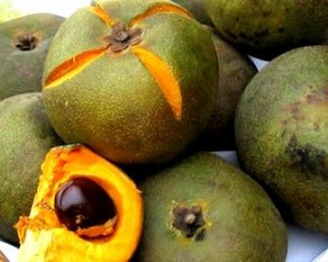 lucuma