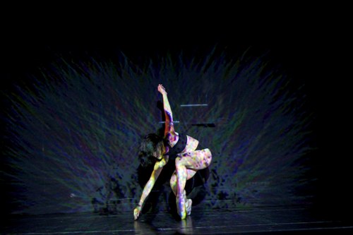 La Quinta del LoboColombia (2)